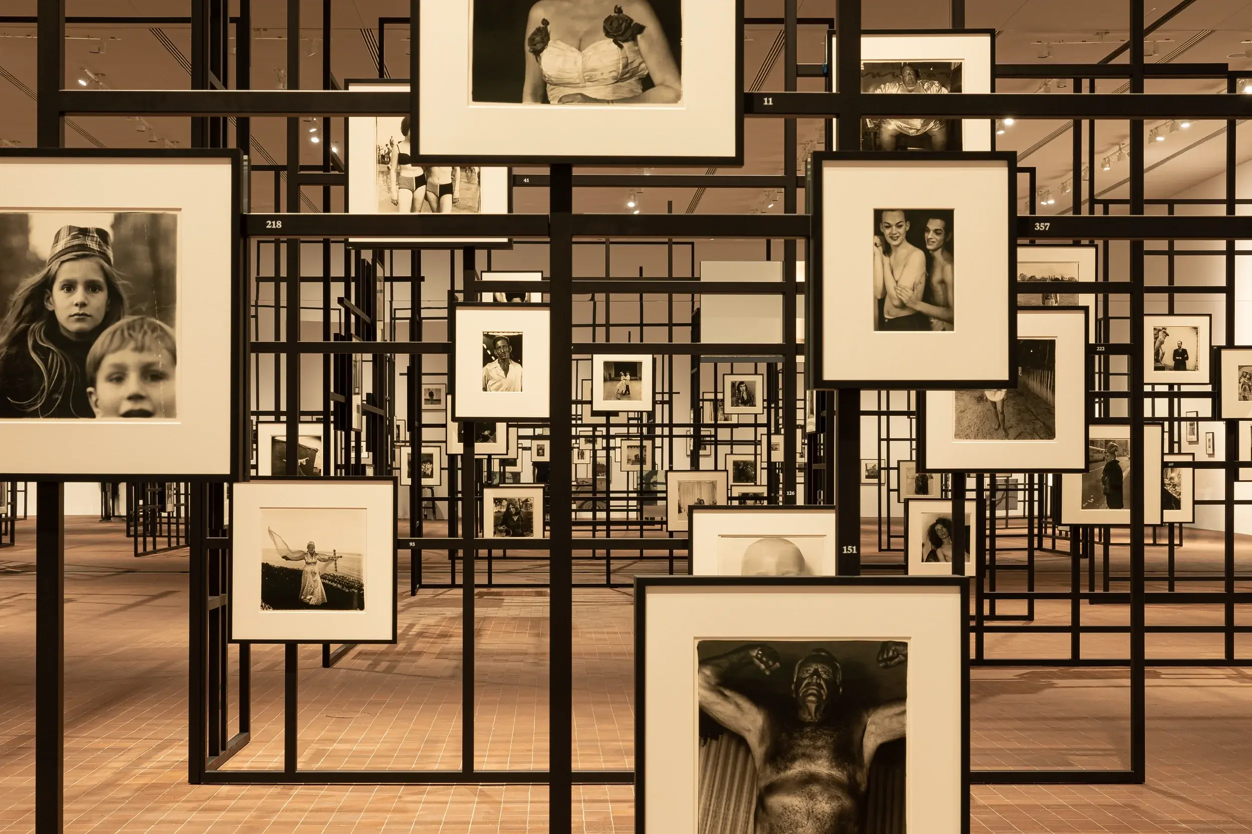 アート・デザイン・音楽 Diane Arbus Diane Arbus: Constellation - LUMA Arles